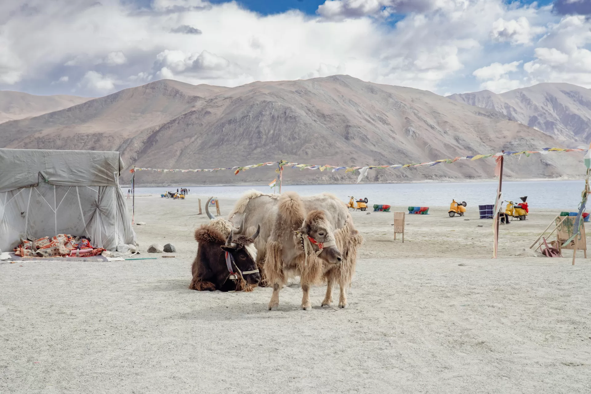 Ladakh Legends Expedition
