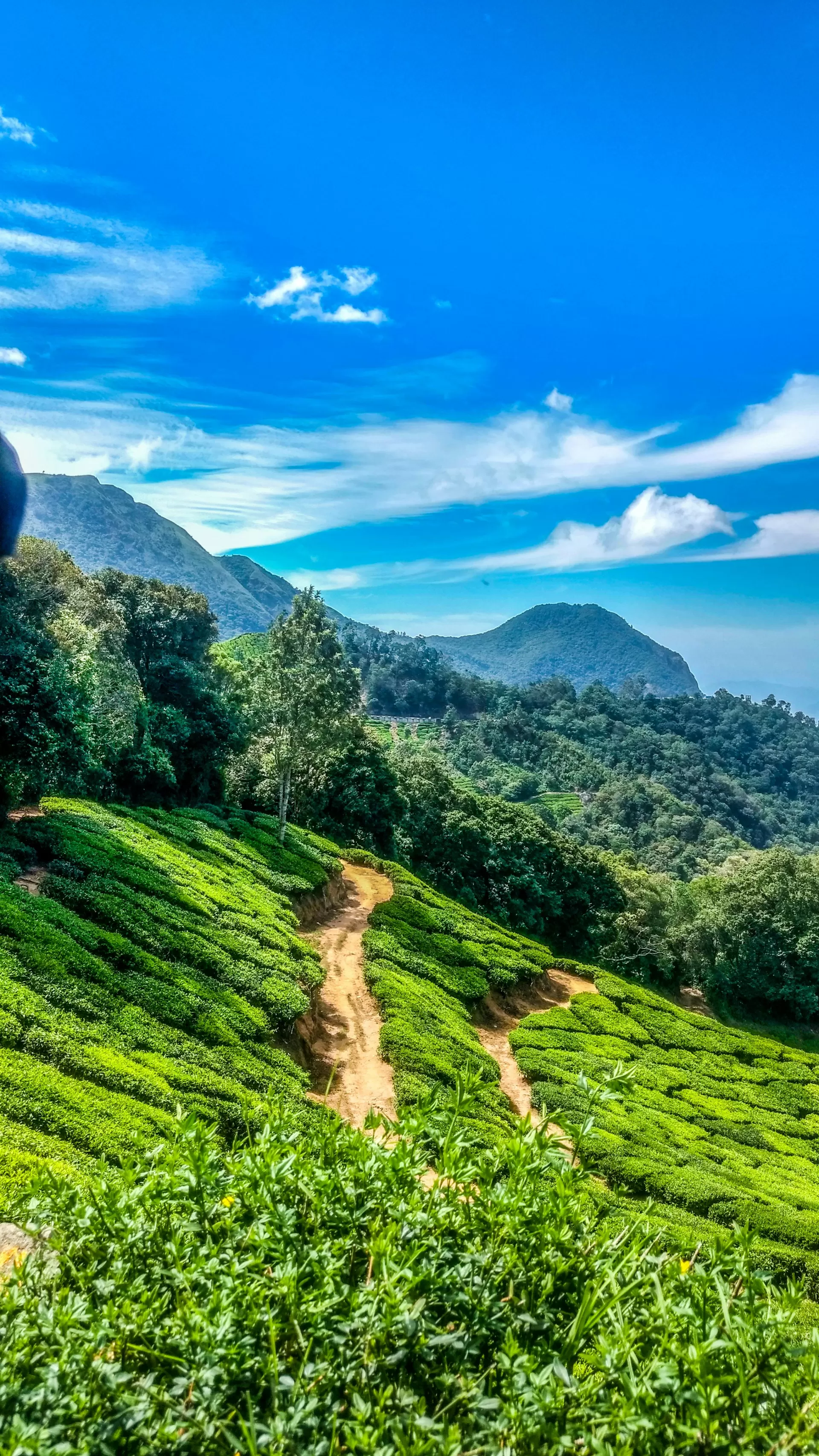 Munnar Misty Love Trail