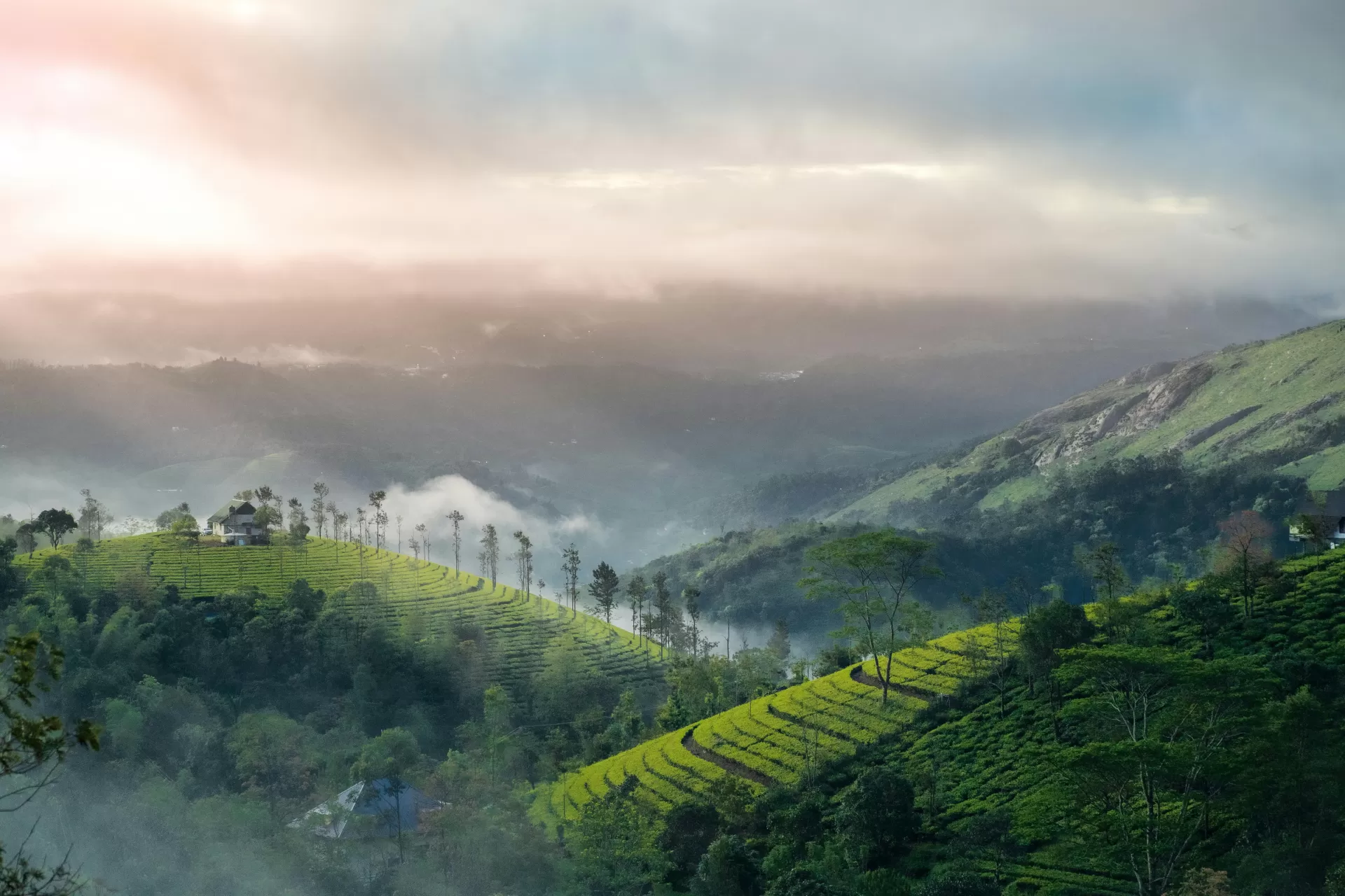Munnar Misty Love Trail