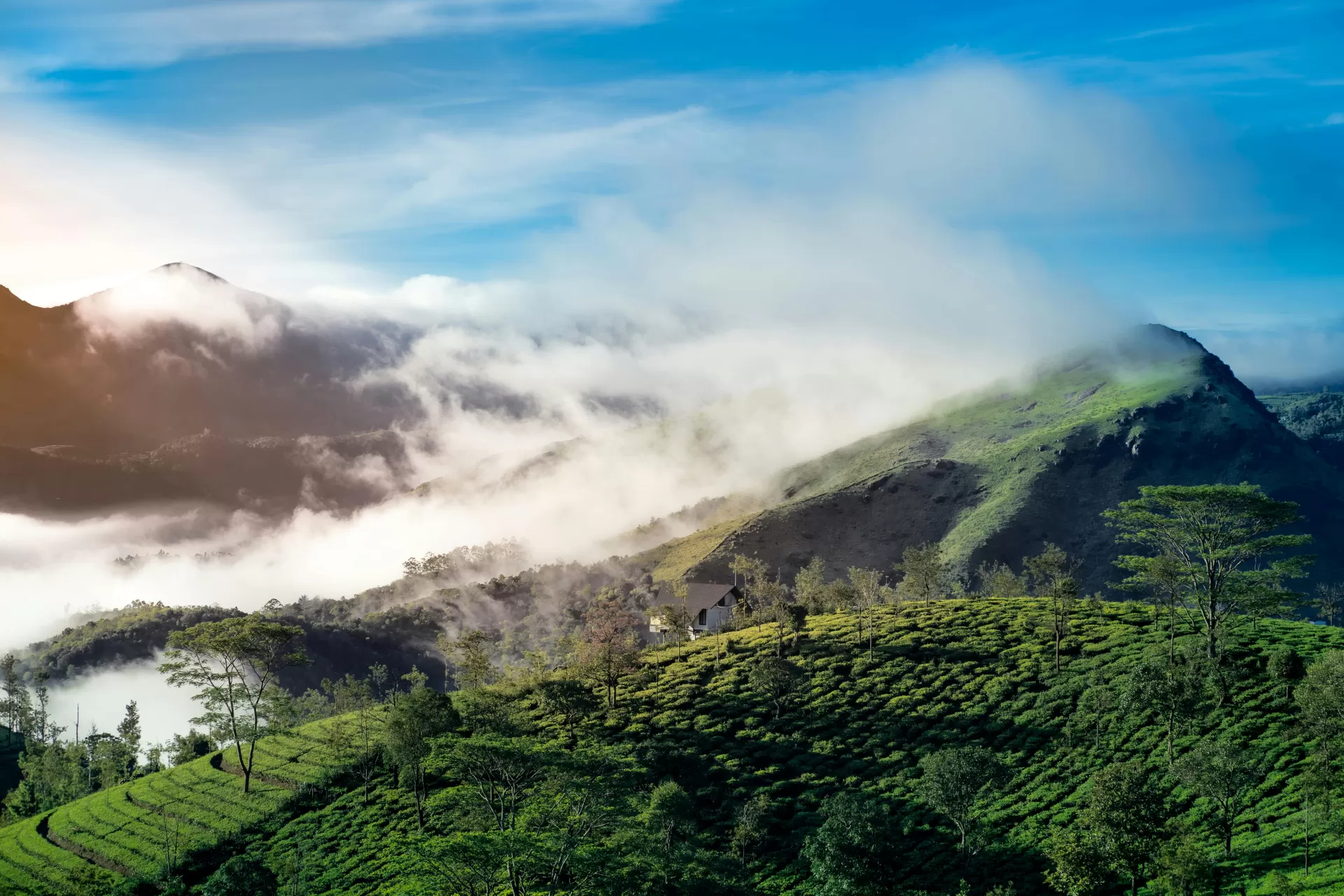 Munnar Misty Love Trail