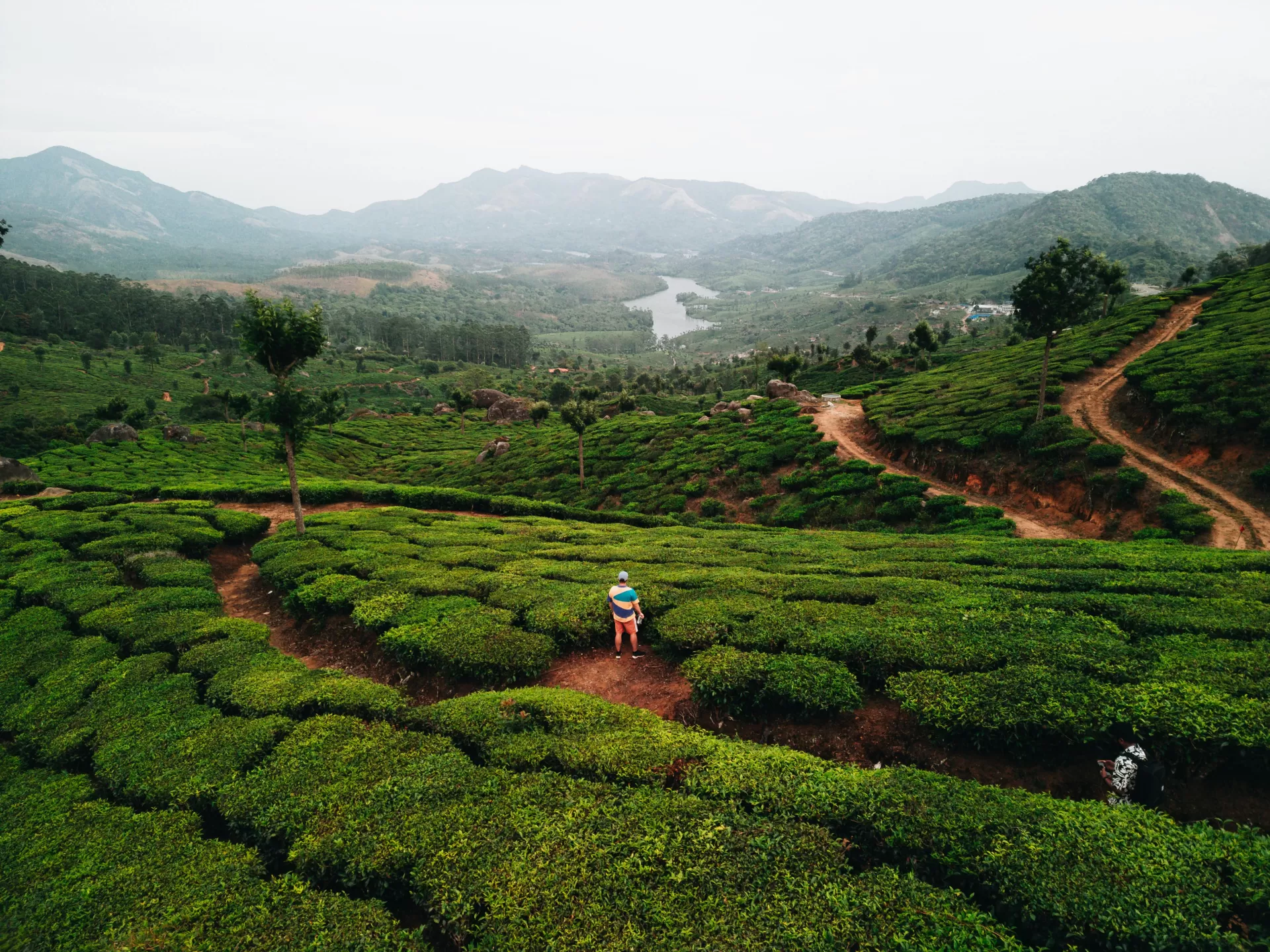 Munnar Misty Love Trail
