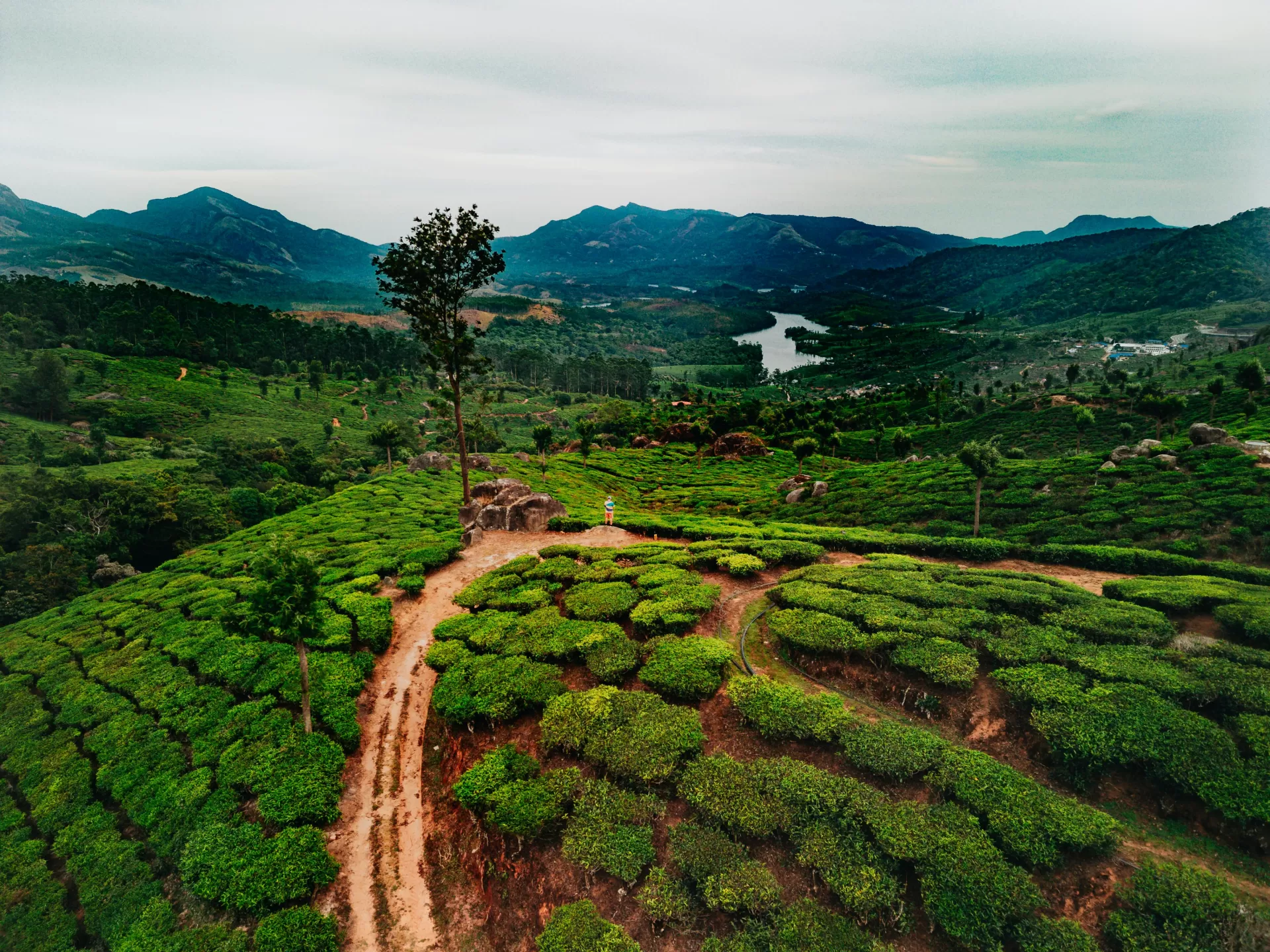 Munnar Misty Love Trail