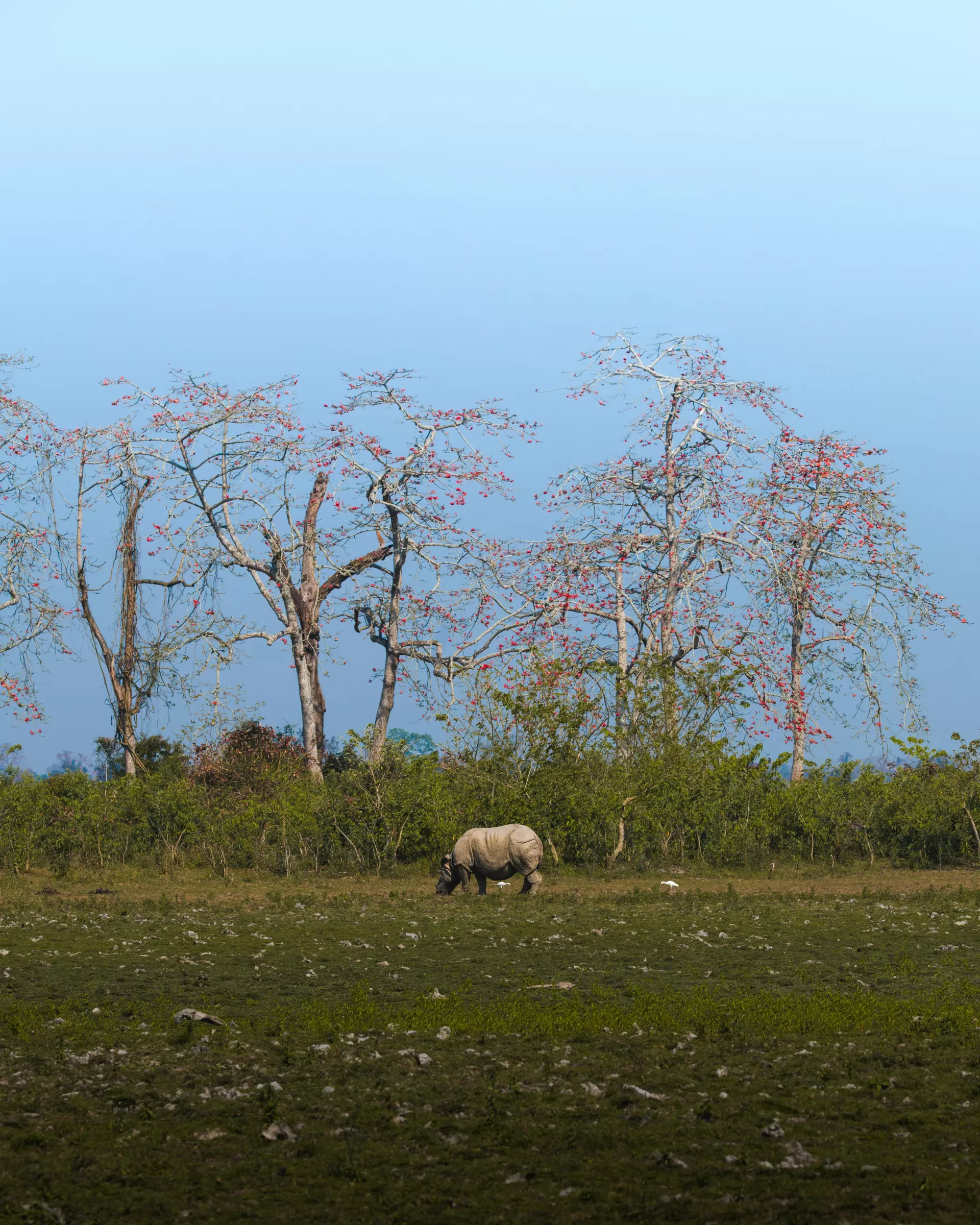 Northeast Nature Escape