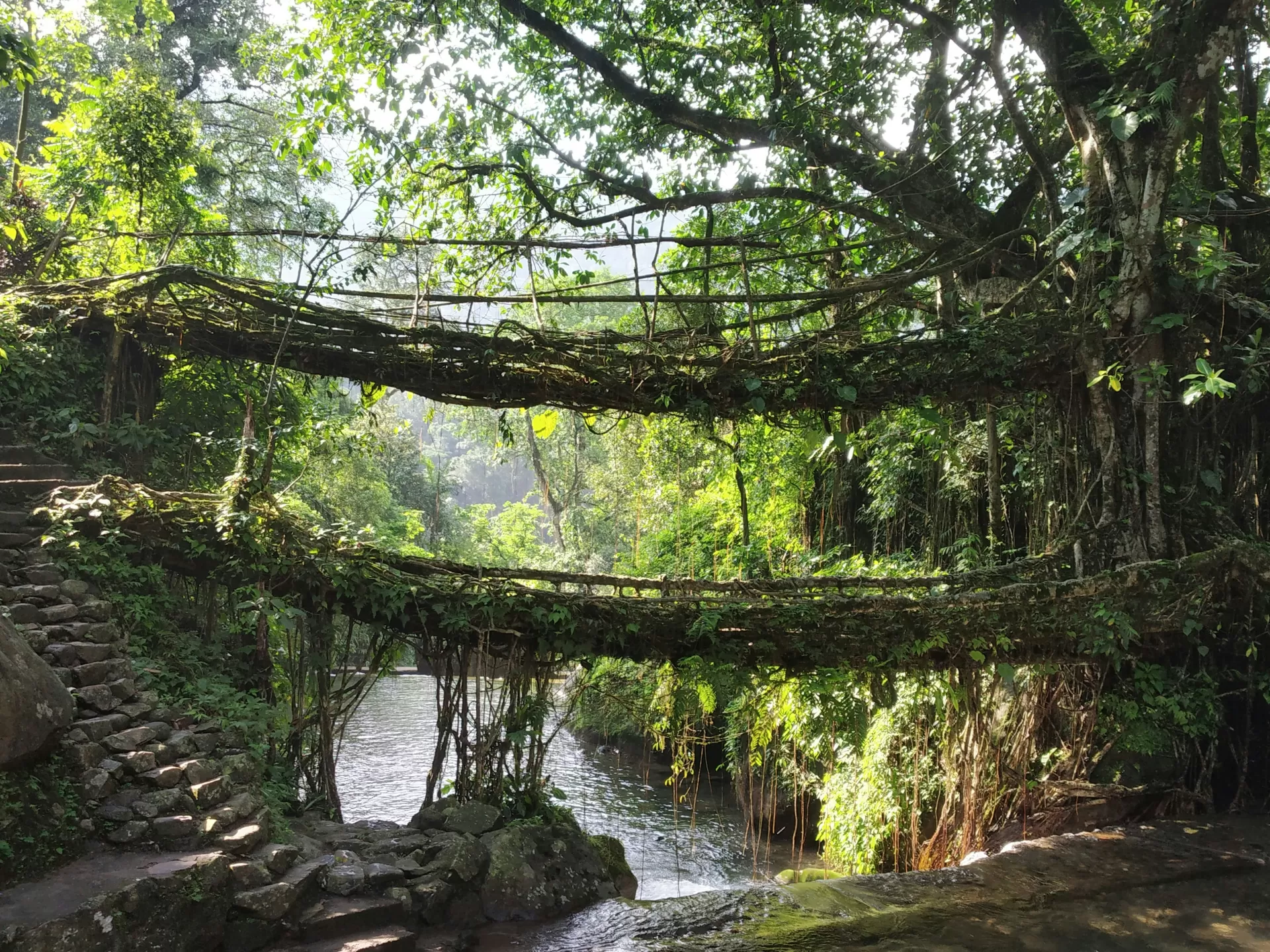 Northeast Nature Escape