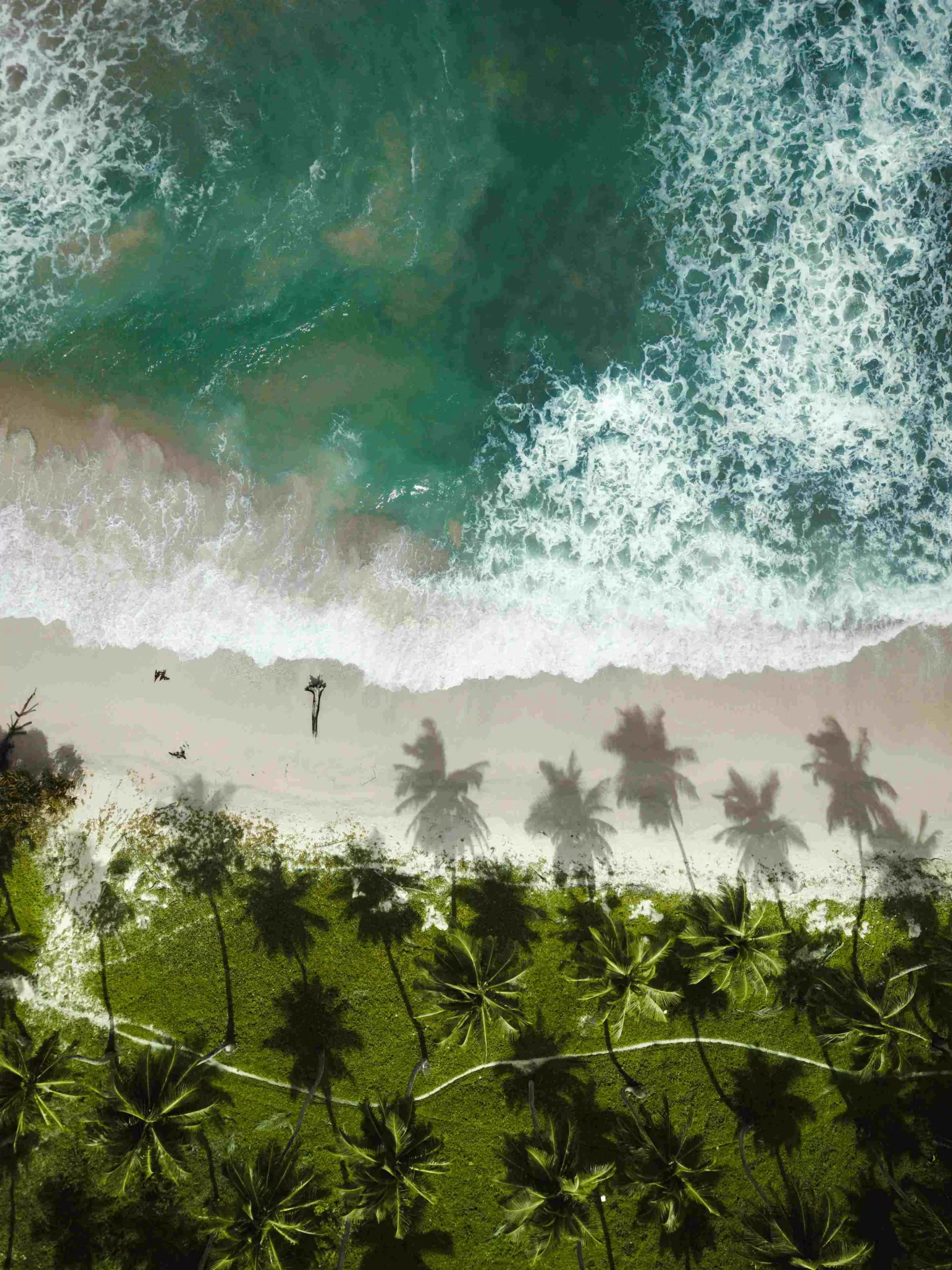 Andaman Family Retreat