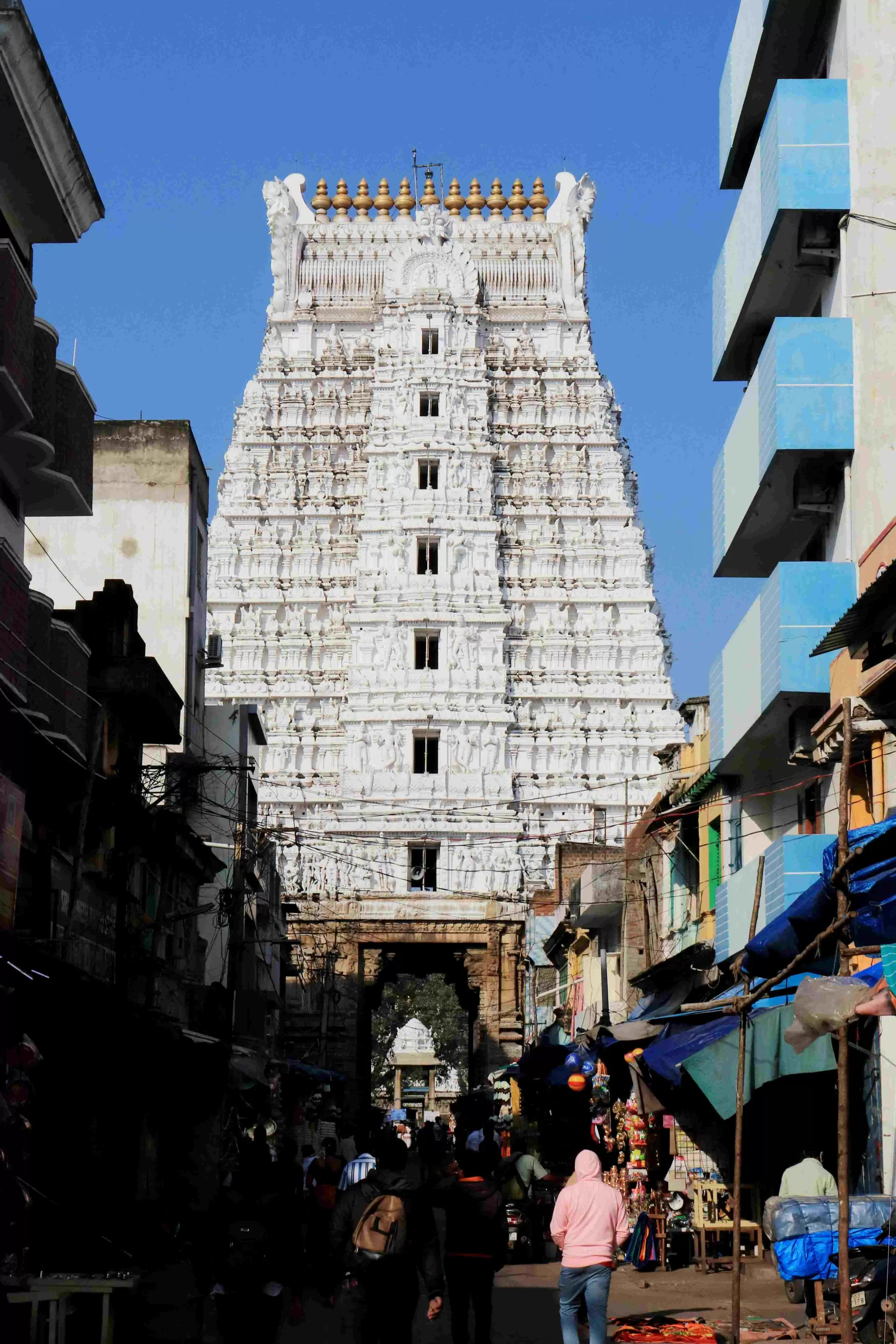 Divine Journey through South India