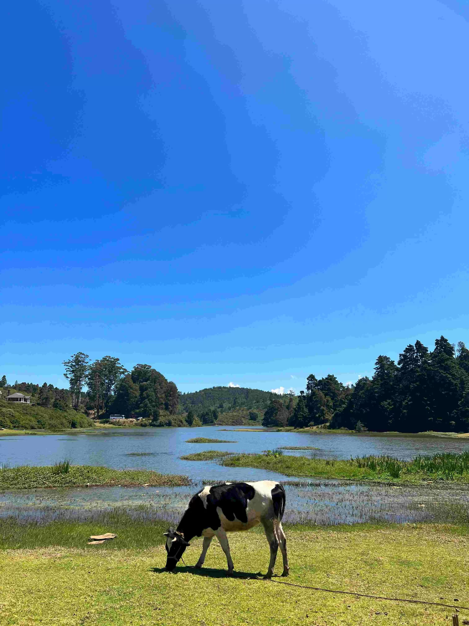 Ooty Weekend Escape