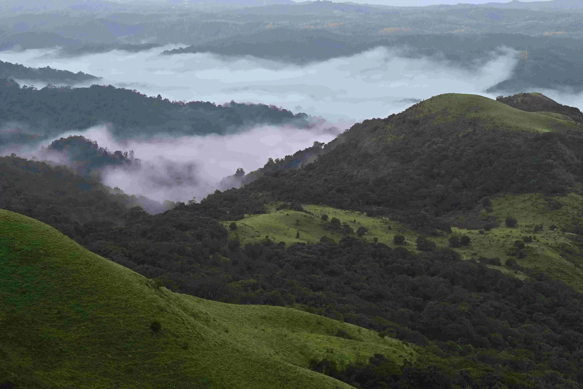 Ooty Weekend Escape