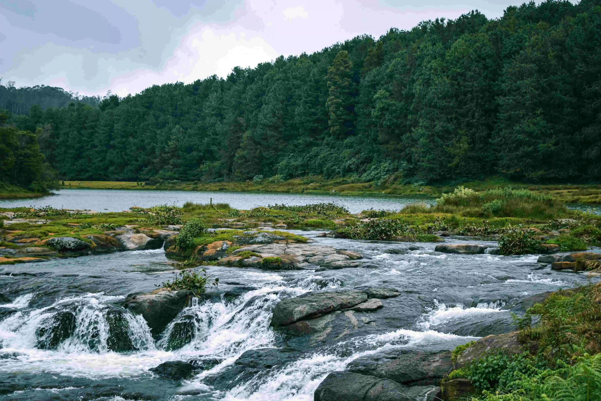 Ooty Weekend Escape