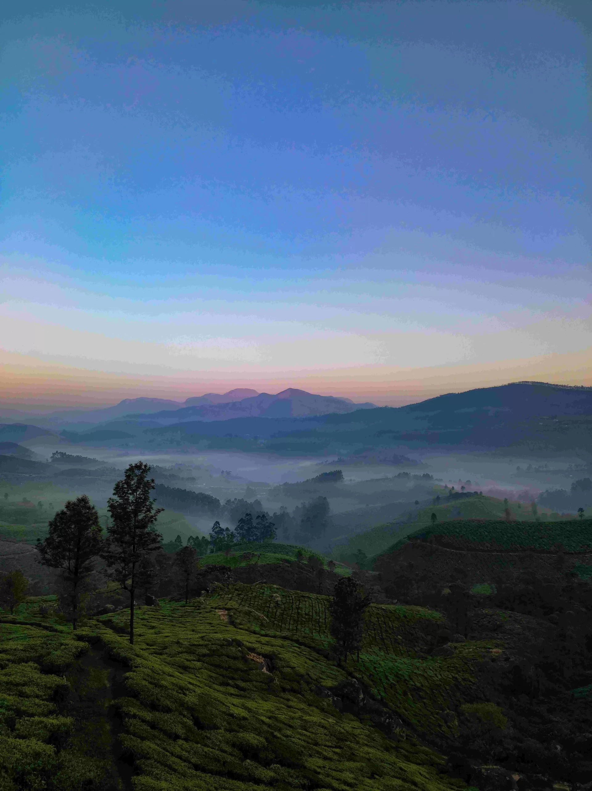 Kerala Honeymoon Paradise