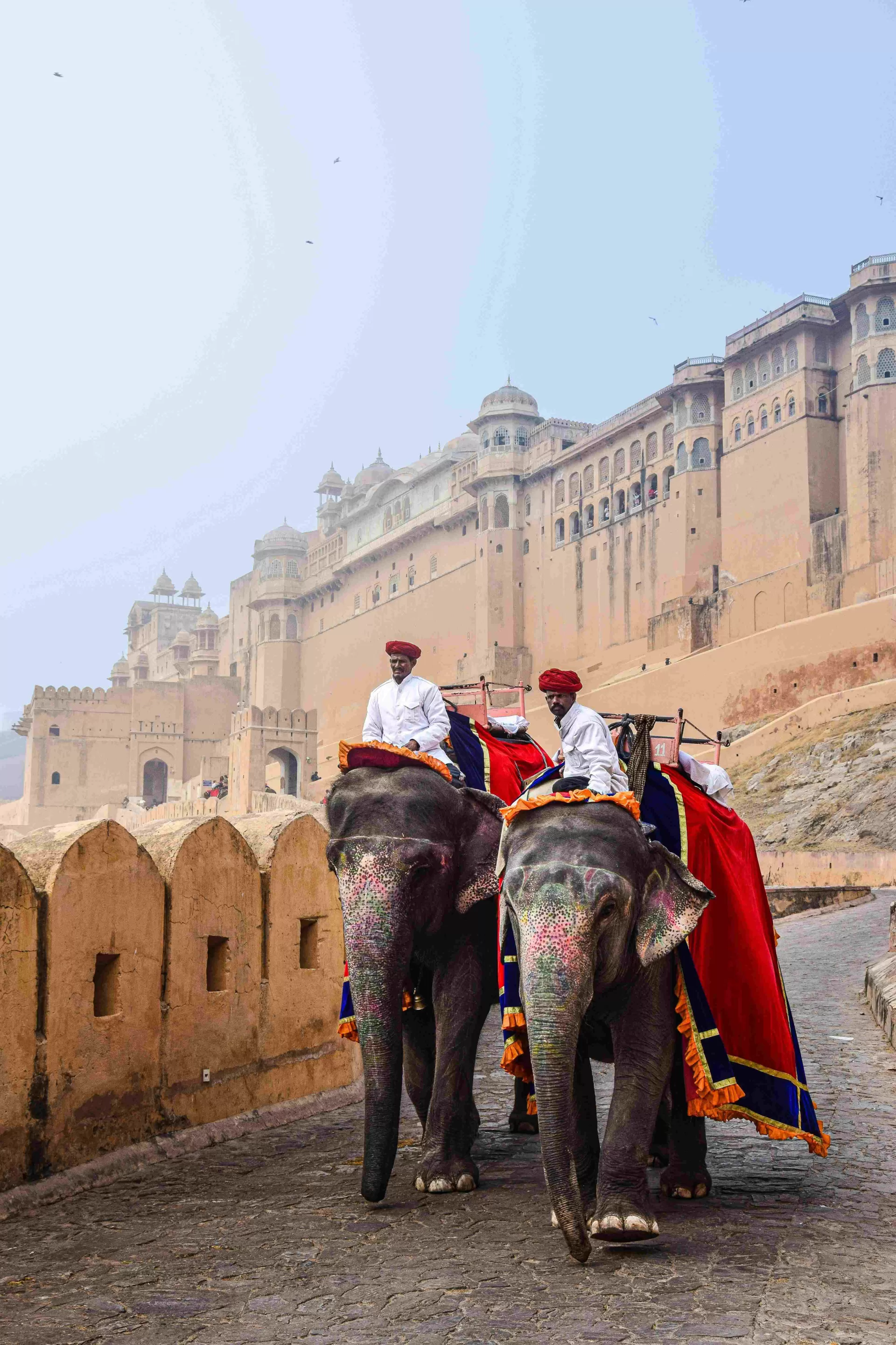 Rajasthan in a Nutshell