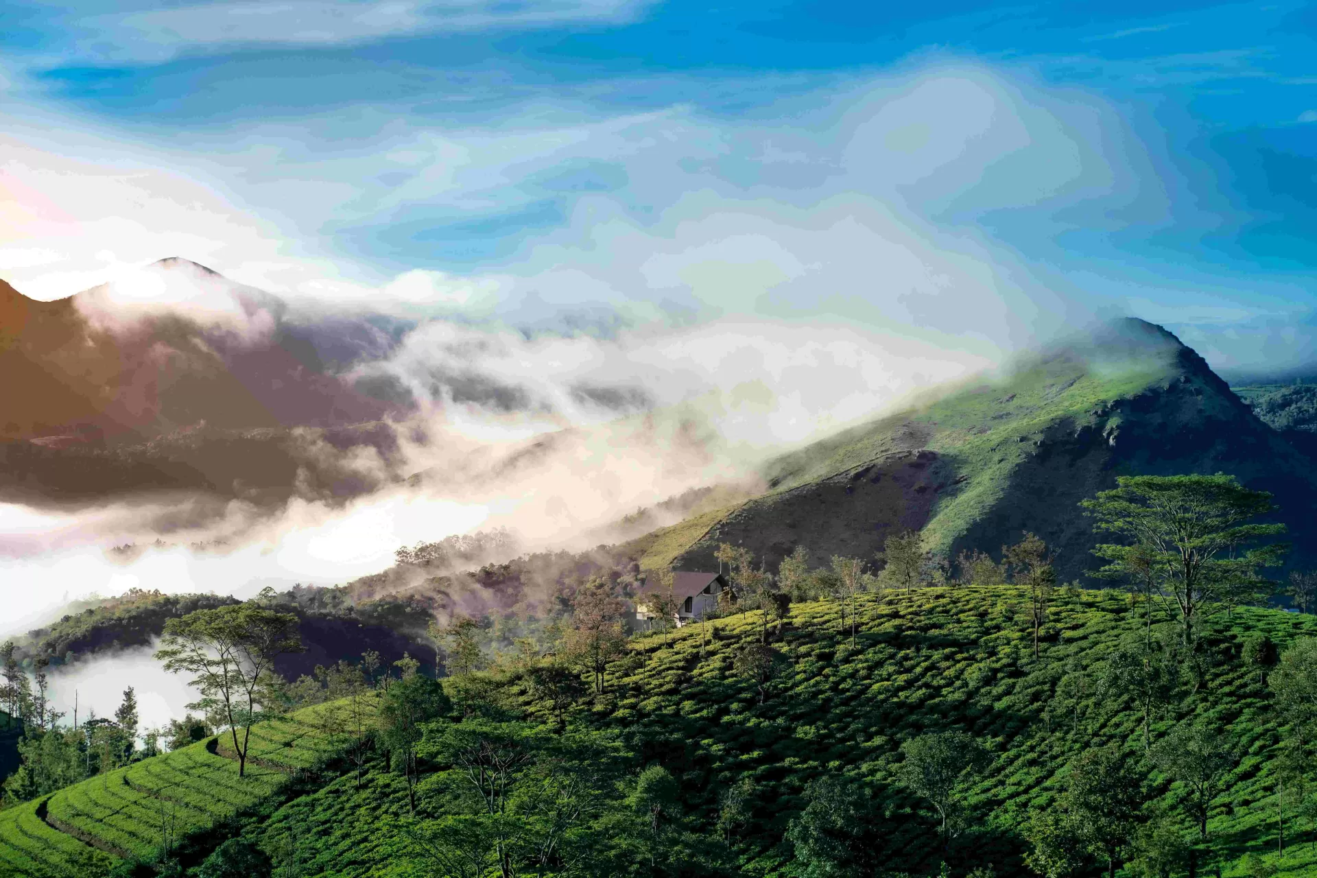 Enchanting South India Escape
