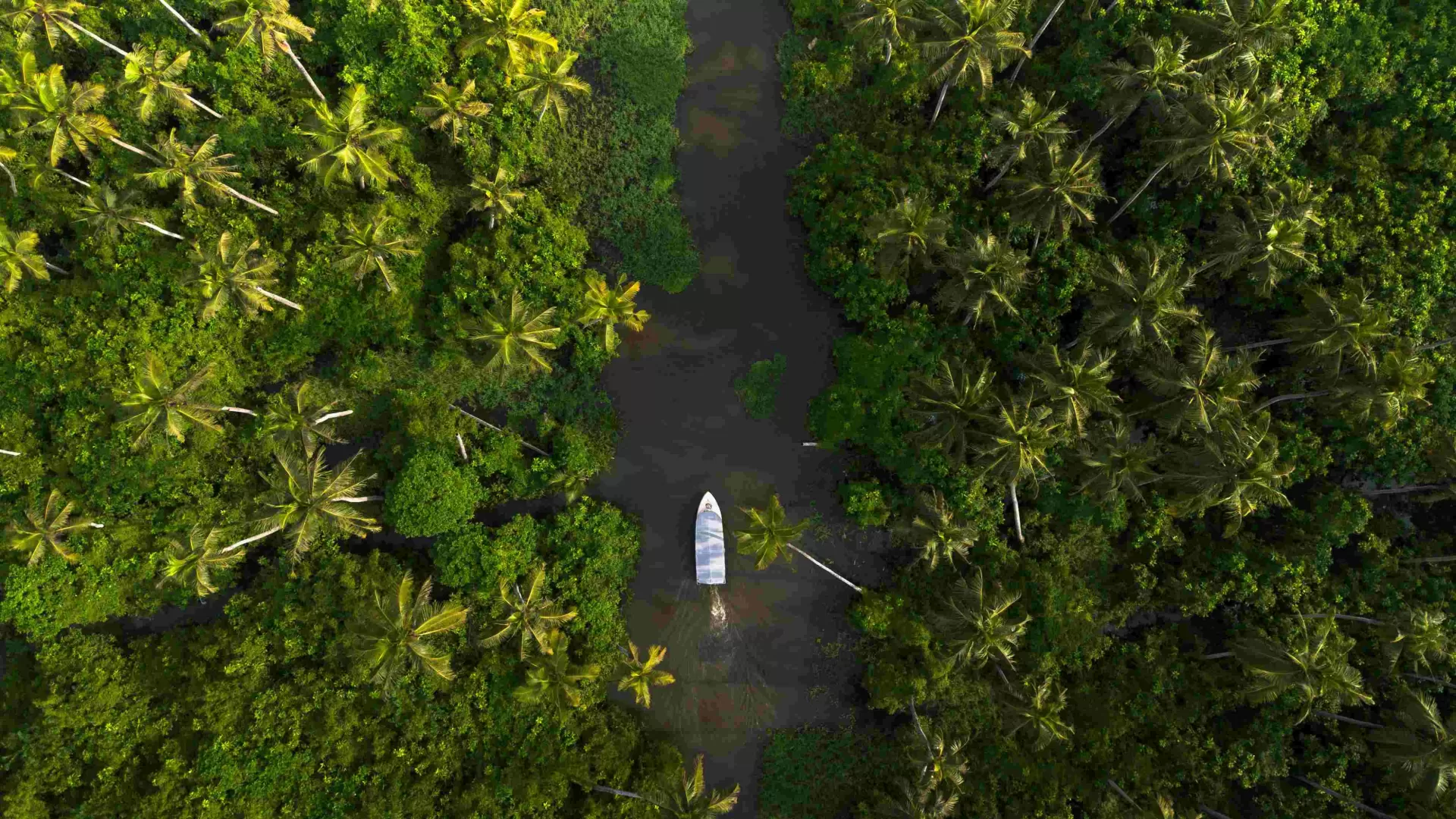 Enchanting South India Escape