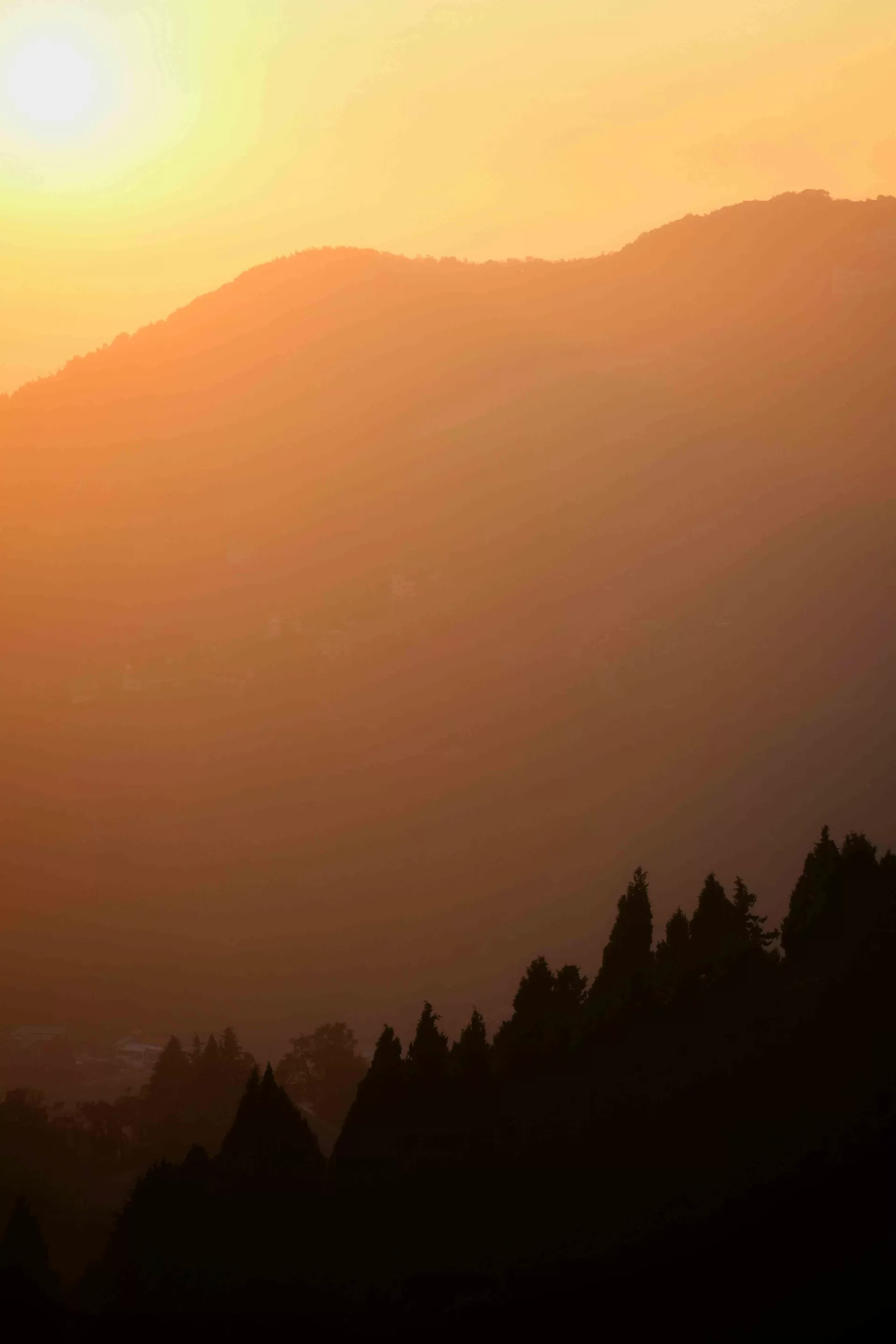 Himalayan Charm Dehradun Mussoorie