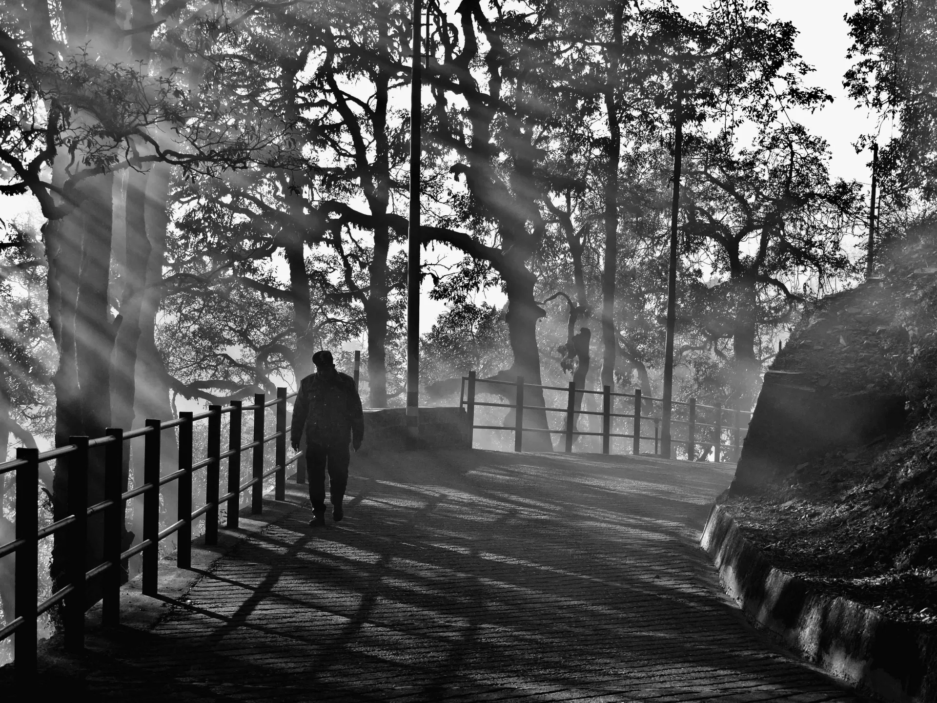 Himalayan Charm Dehradun Mussoorie