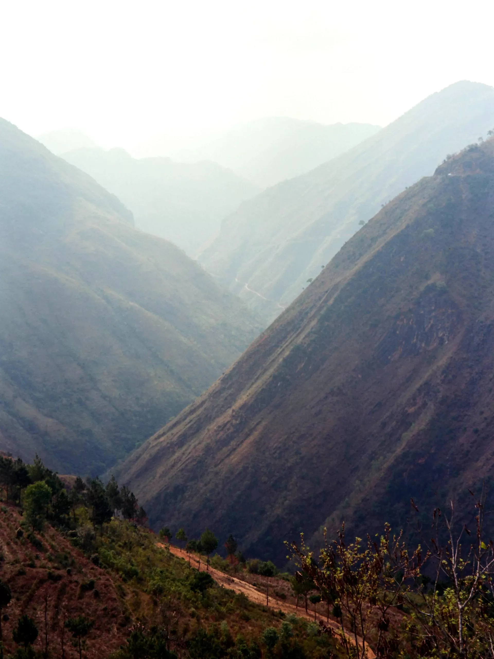Mahabaleshwar Bliss