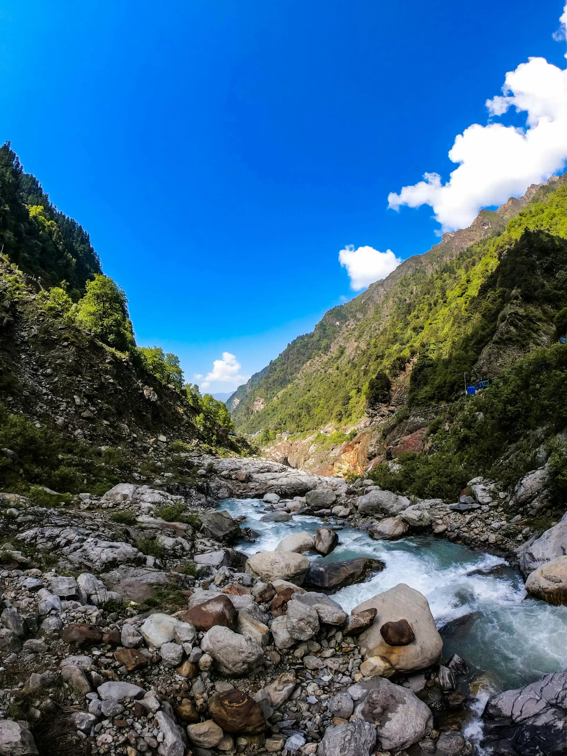 The Rishikesh Camping Experience