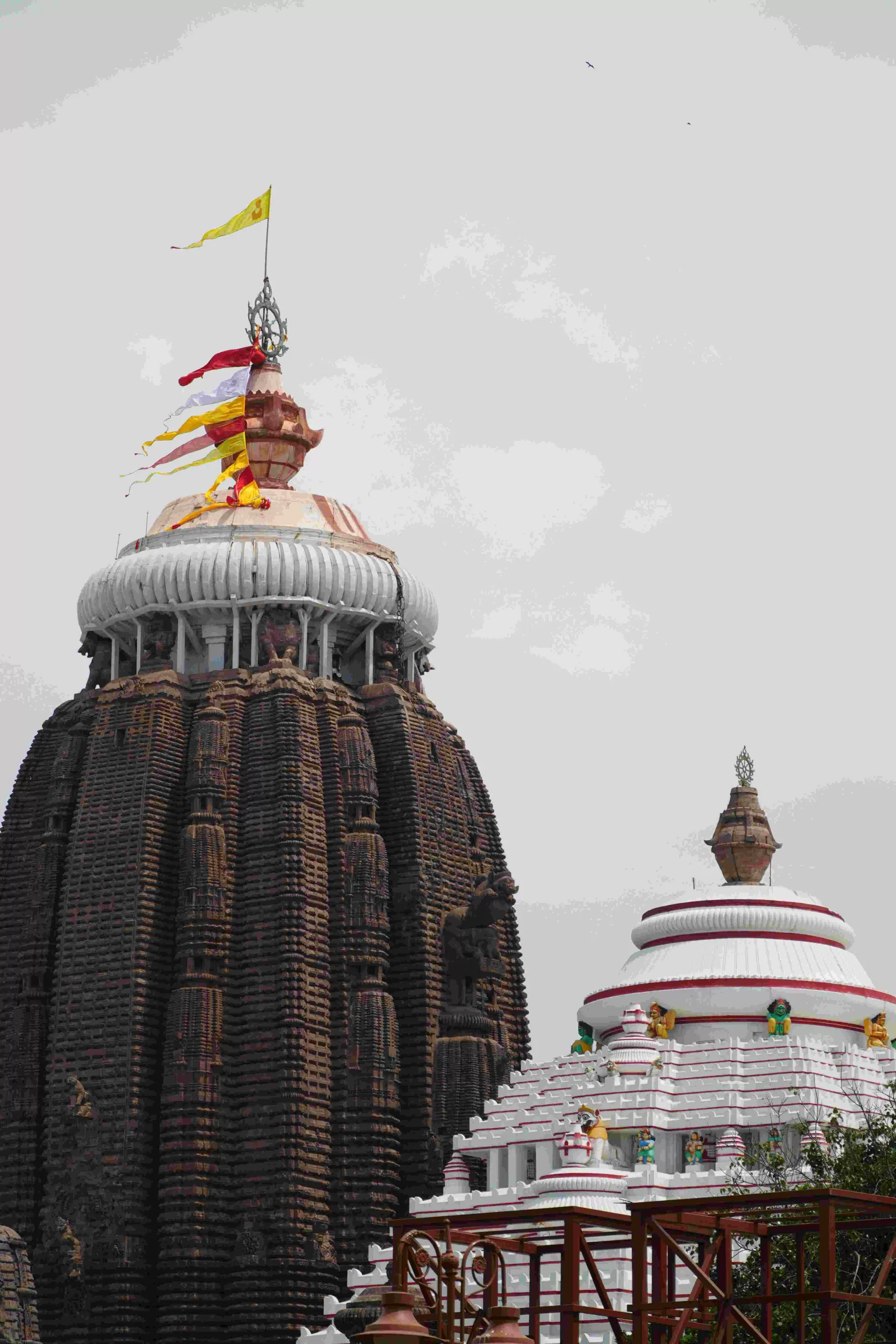 Bhubaneswar Puri Konark Journey