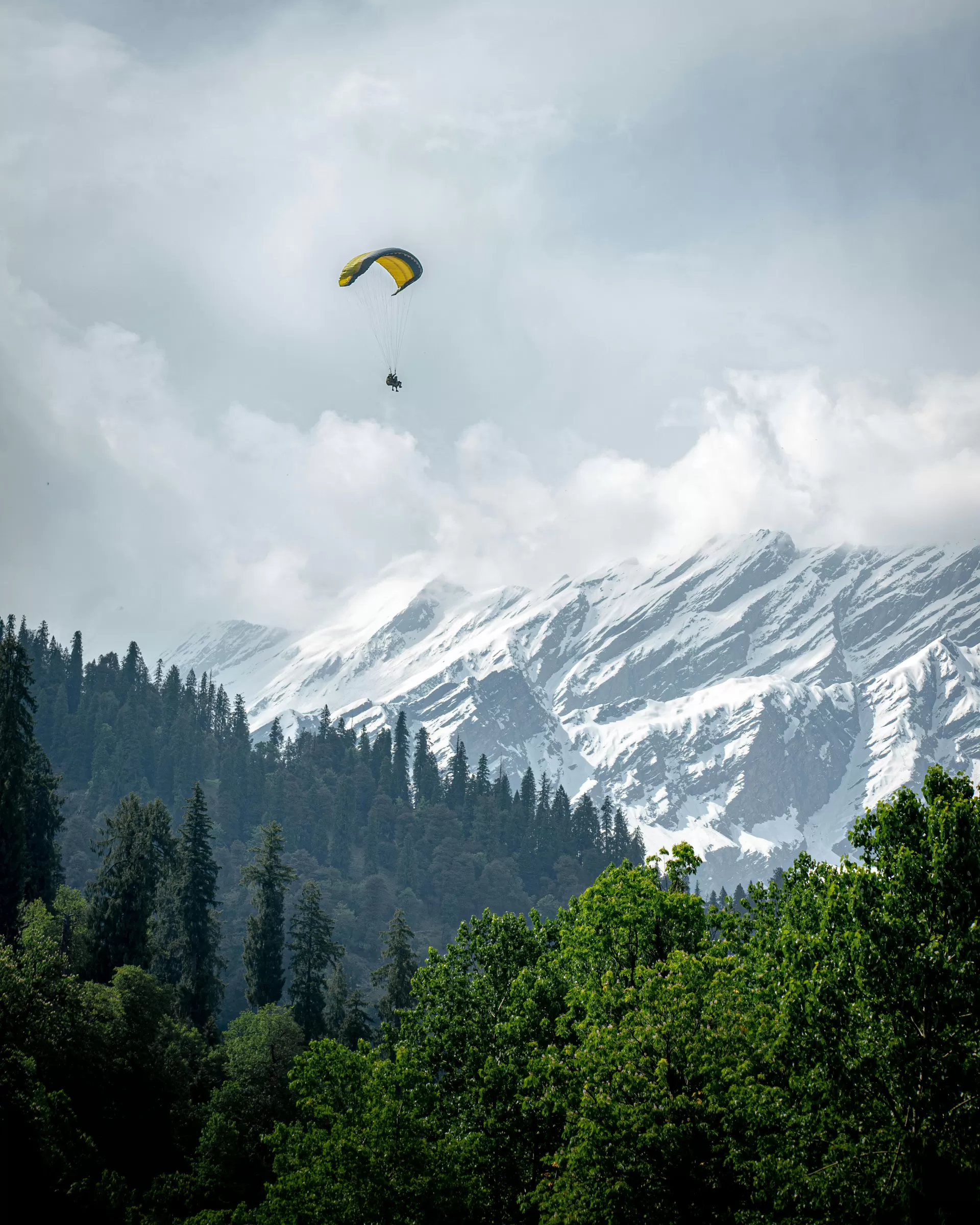 Himachal Nature Escape
